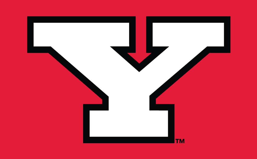 Youngstown State Penguins 1993-Pres Alternate Logo v3 iron on transfers for T-shirts